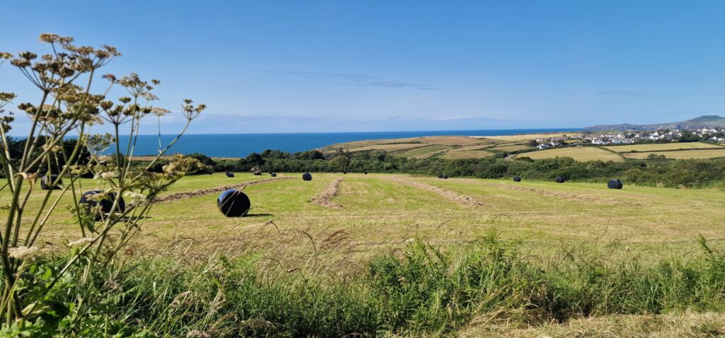 Yr Hafan -View over our fields Autumn 2025